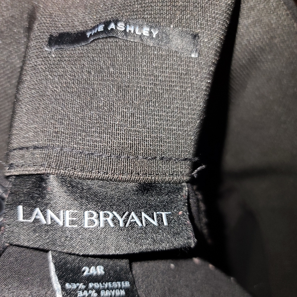 Dress Pants